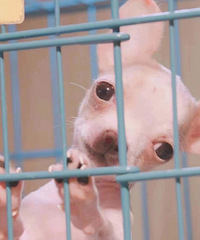 ������3����