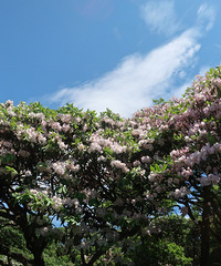 �˼����·��ƾ��������ž���Ȼ��