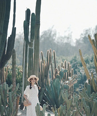 �������ĸɻ�.doc����Щ�ط��ʺϰ�����