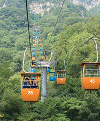 ��ѡ���ۣ�̨�ݶ��֪���������Ŵ����ˣ�