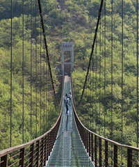 ��ѡ���ۣ�̨�ݶ��֪���������Ŵ����ˣ�