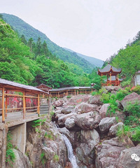 ��519���й������ա������ϼ� | �ٰ�����/����/�Ƶ��Ż�