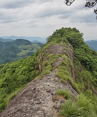 ���Ͱ�ƪ�����Դ�Խ���д����ߣ�̽�����´�