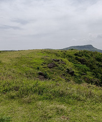 ���¿�Ѻ��οͳ�֮Ϊ̨�ݵ��������