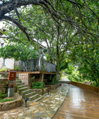 ��ǡ�˾�١��ڶ������ȡ���أ��������߶Ȼ�ԭ