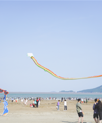 ��������С����ӵ�ƽ𺣰��ߣ���ⲻ������