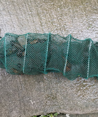 ǰ���������͵3ֻ�������������﹵���ҵ�һֻ