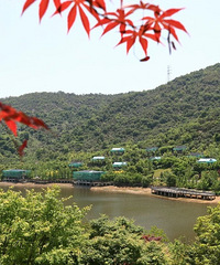 ̨��ֲ��԰�쿪԰�ˣ�ʵ��+Ч��ͼ���ȿ�