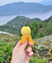 ����գ�һ��һ�ȵ����˼����ˣ����Ҹ��ز�ժ��ͼ���ϣ�