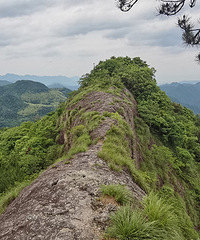 ���´�ɱ����