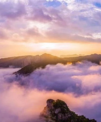 �����ɾ������ɾӵ��������ɣ�