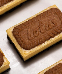 ����֥ʿ���� | 0ʧ�ܵĿ��ֵ���