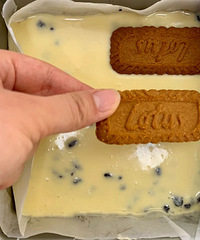 ����֥ʿ���� | 0ʧ�ܵĿ��ֵ���