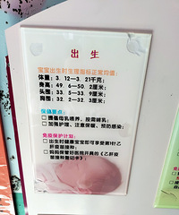 ����������Щ�¡���Ǯ�����ĺ�