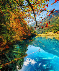 ���й�������50���ط����񵥳�¯����ȥ��32��