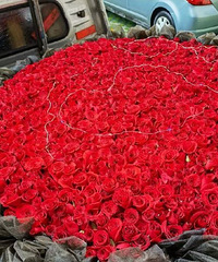 С����һ���ϰ嶩��999��õ�廨���͸�һ��Ů��