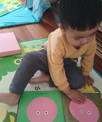 ��������Ϸ��:�����