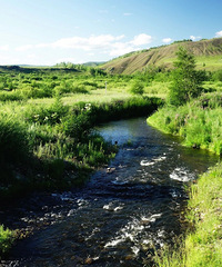 ��������ɹţ������ж�����