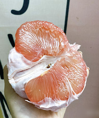 ƴ���õ��̫���ˣ�������Ƽ��Ƽ�һЩ�õ�