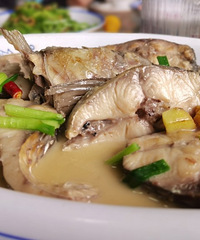 �������ʲô������С�ŵ�