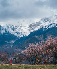 ��һ������·��ͨ����������֥����3Сʱ�����������ޣ�