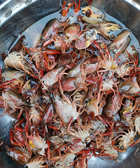 ����˵��С��Ϻ��������û����