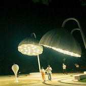 ���е�ҹ����ϵ��