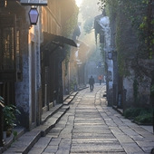 ������ζ