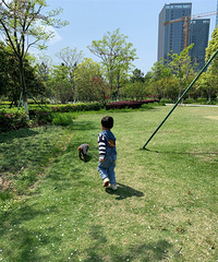 �����С�������Ρ� Ұ�Ͷ����������һ����