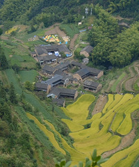 Ϊ��������������ʶ�㣬ȴ��˵������м��˺�һЩ���