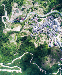 �����żҽ�ľ����ɾ�������Ϊ����ؼ����֮����