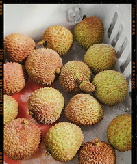 ���������֦��������ɳɳ�ģ�����Ա���ܡ�