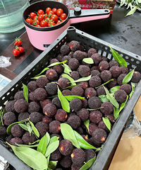 �������÷�о��úó�~�۸�Ҳ����