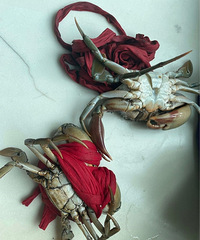 �����ص���з305Ԫ�����������أ�