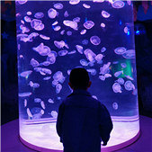 ����������޵ĺ�ȥ��