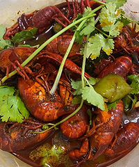 �������С��Ϻ