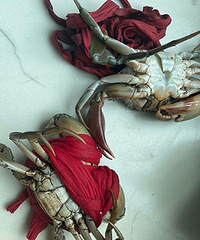 ���������أ�