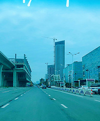 ��Ҷ��и�ʮ���Ư��