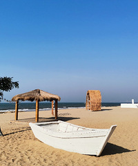 ���ĵı������е����壬��ֵ��ͣ��