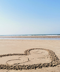 ���ĵı������е����壬��ֵ��ͣ��