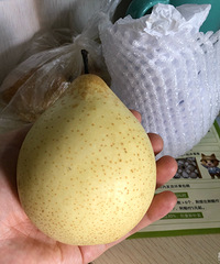 ��èũ���ֵ������յ��ˣ�Ʒ�ʻ�����