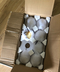 ��èũ���ֵ������յ��ˣ�Ʒ�ʻ�����