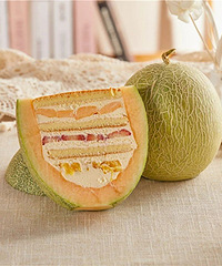 �����۹ϵ�������