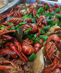 �����һ����Ϻ