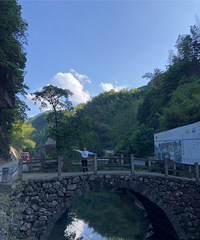 ���Ҳ���ɽ