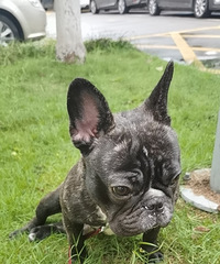 תһֻ����Ŷ