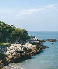 ̨����ò��С��