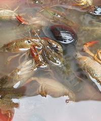 ��һ�ε���Ϻ���ջ��ķ�