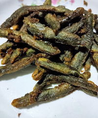 �������ʲô����ը������ϲ�����ˣ��ִ��ִ��