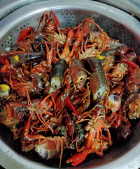 �������ʲô����������С��Ϻ���ĸ���һ�¾ͳ�����